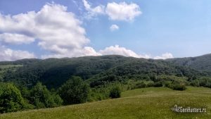Read more about the article Antina čuka – čuvar blaga
