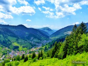 Read more about the article Rudnik kromita Rakovac kod sela Duboštica, BiH