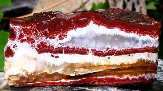 Read more about the article Kamena torta