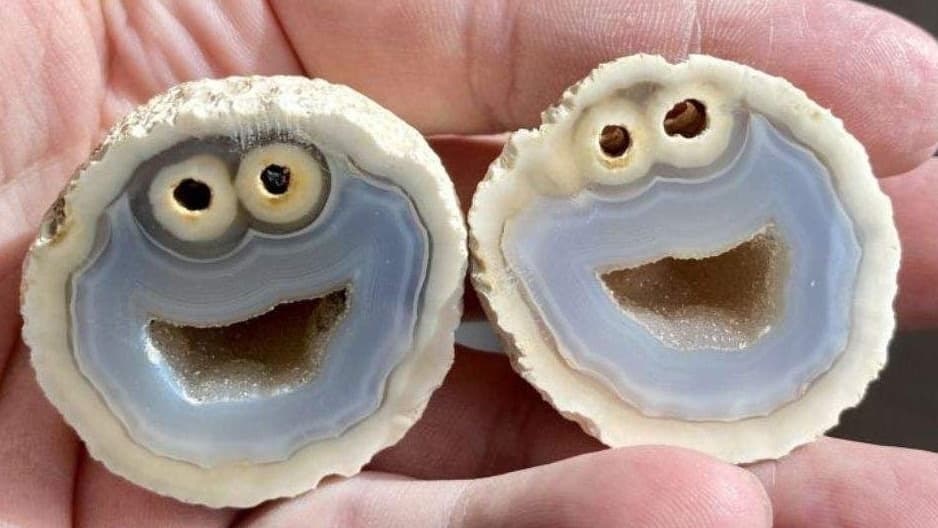 Read more about the article “Cookie Monster” ahat