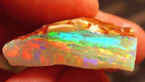 Read more about the article Vatreni opal