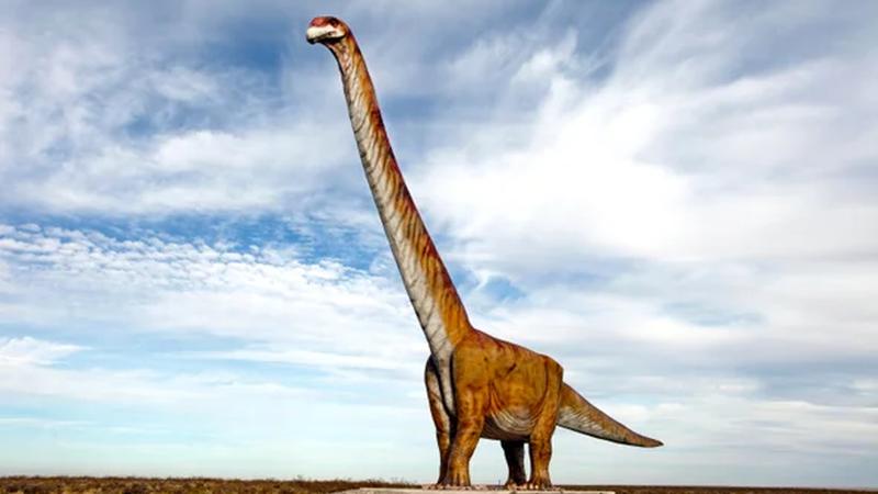 Read more about the article Najveći dinosaurus ikada