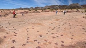 Read more about the article Kako se otisci stopala dinosaurusa sačuvaju u steni?