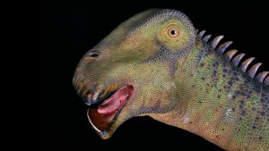 Read more about the article Nigersaurus – Biljojed sa 500 zuba!