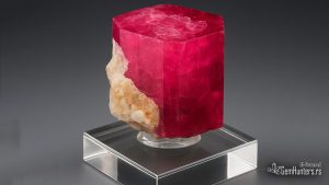 Read more about the article Zašto je crveni beril tako redak?