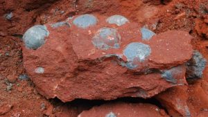 Read more about the article Pronađeno preko 40 jaja dinosaurusa