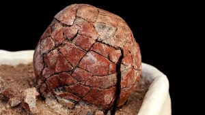 Read more about the article Jaja dinosaurusa su bila raznobojna