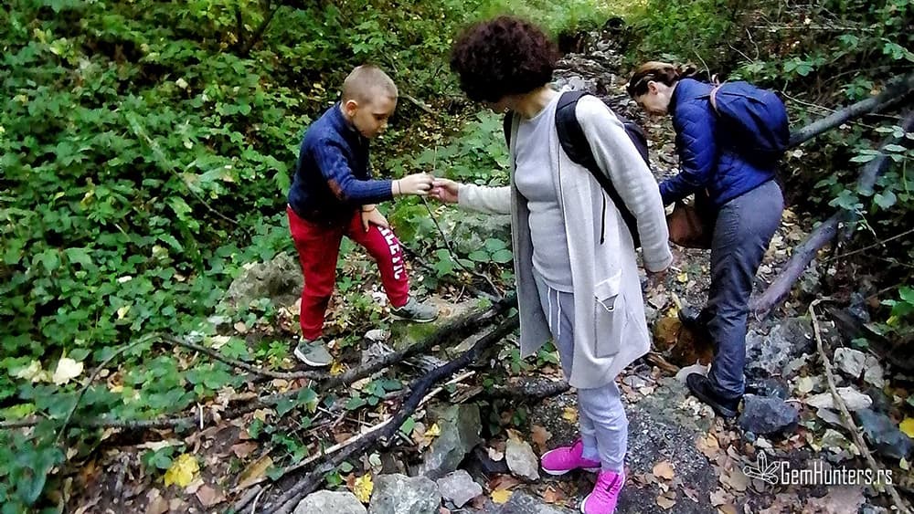 Read more about the article Kameno-gljivarski dan na Fruškoj gori