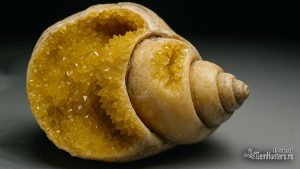 Read more about the article Kristali koji rastu kroz fosile