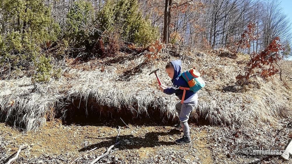 Read more about the article Nerinea ili deridea?