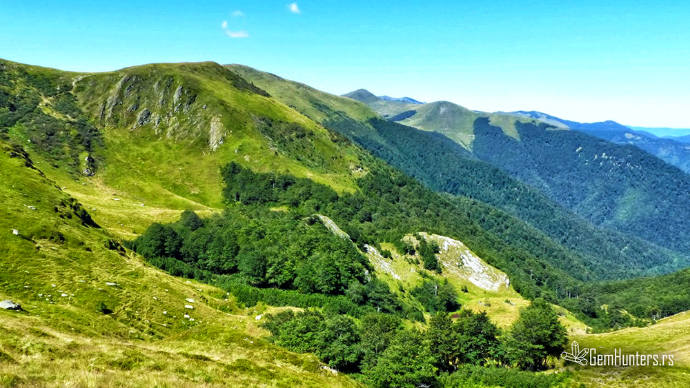 Read more about the article Ljepotica Bosanskih škriljavih planina – Zec