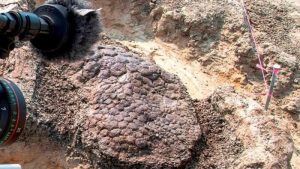 Read more about the article Poslednji dan dinosaurusa