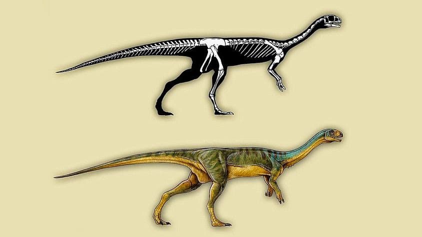 Read more about the article Biljojed rođak Tiranosaurusa