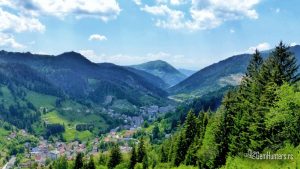 Read more about the article Rudnik kromita Rakovac kod sela Duboštica, BiH