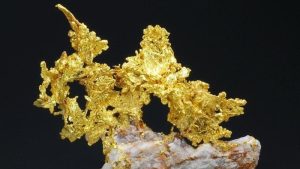 Read more about the article Samorodno zlato