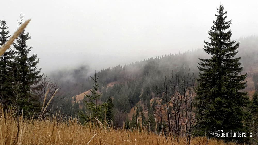 You are currently viewing Sve bore Stare planine