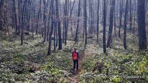 Read more about the article U Rubenovom krugu na Fruškoj gori