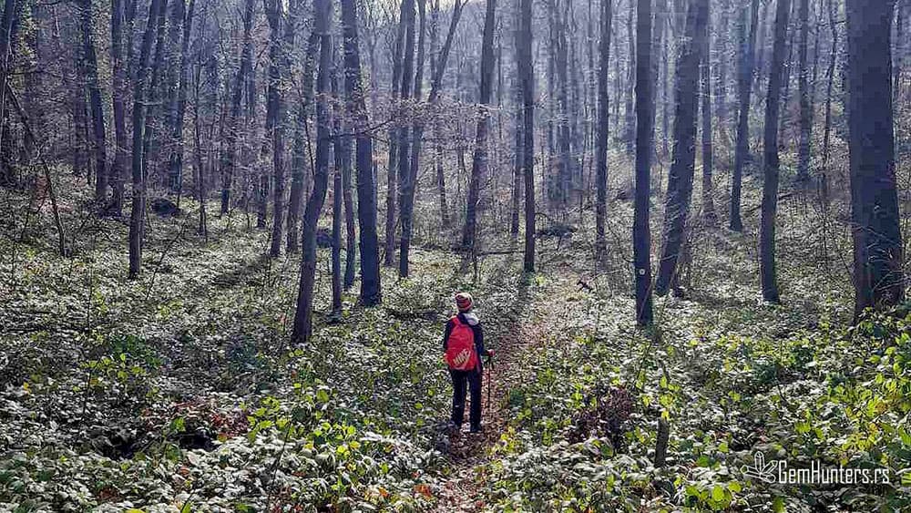 You are currently viewing U Rubenovom krugu na Fruškoj gori