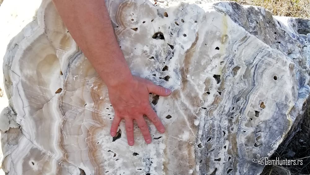 Read more about the article Umetnička dela Lozovika