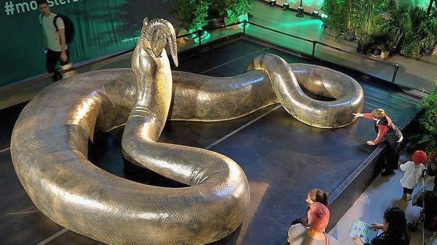 You are currently viewing Praistorijska zmija veličine autobusa