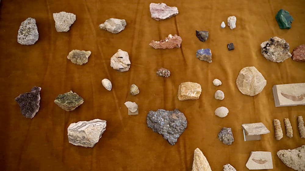 You are currently viewing eVrsac.rs: Donacija uzoraka minerala i fosila Gradskom muzeju Vršac