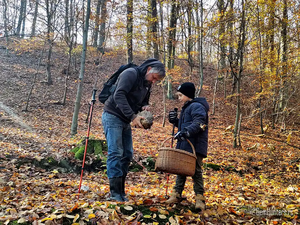 Jesenji trenutak na Ceru – lokalni vodič Stevan i dečak proučavaju stenu usred šume punih boja